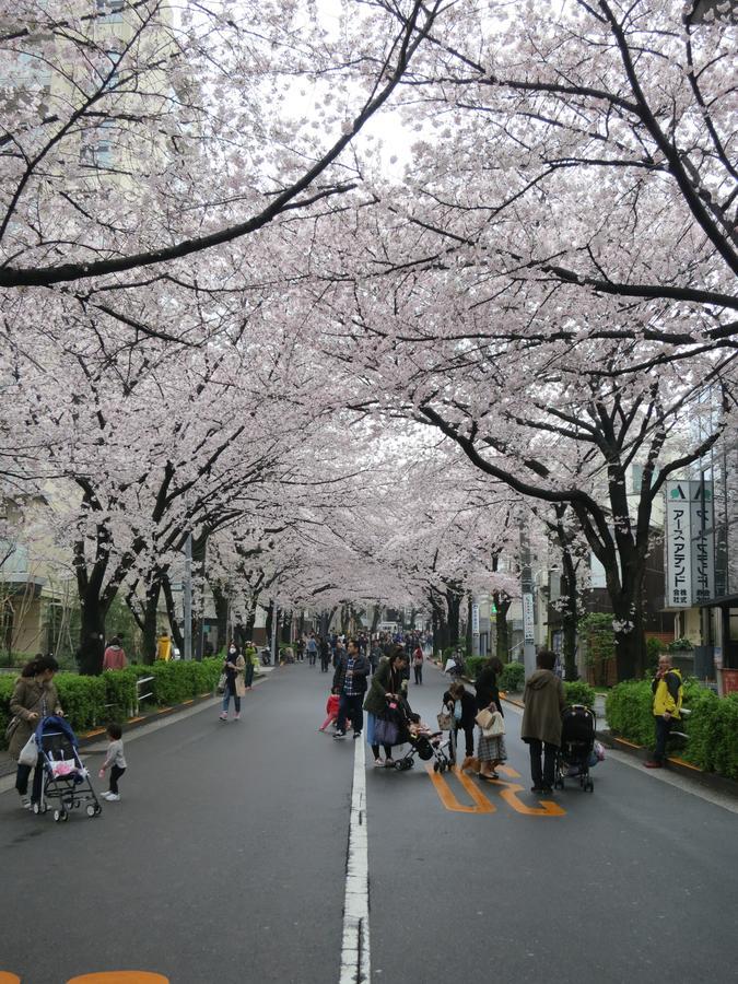 ノーボーダーズ ホステル 東京都 エクステリア 写真